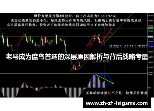 老马成为魔鸟首选的深层原因解析与背后战略考量 老马成为魔鸟首选的深层原因解析与背后战略考量